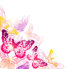Plakat beautiful pink butterflies, isolated on a white