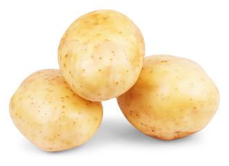 New potato isolated on white background close up