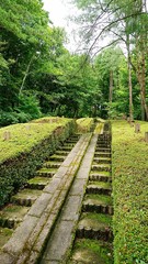自然の中にある静かな階段