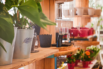 An Image of A Flower Shop With Green Plants