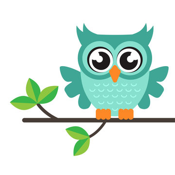 cartoon owl vector on a branch