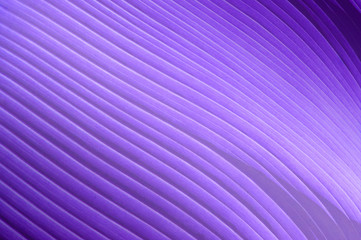 Abstract violet background with diagonal