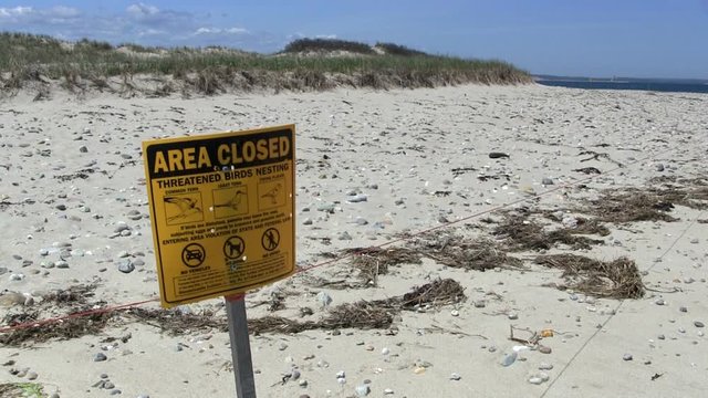 Beach area closed for nesting piping plovers, common & least terns habitat town neck beach Sandwich Cape Cod 