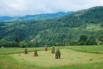 Beautiful landscape in Carpathian mountains, Amazing summer view in cloudy mountains, Ukraine