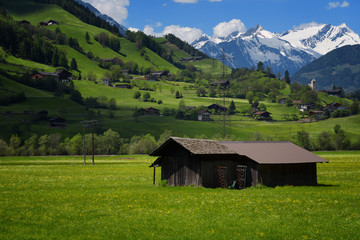 Idyllic landscape in the Alps in springtime with traditional mountain chalet and fresh green mountain pastures with blooming flowers on a beautiful sunny day. Austria, Europe.