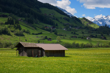 Fototapeta na wymiar Idyllic landscape in the Alps in springtime with traditional mountain chalet and fresh green mountain pastures with blooming flowers on a beautiful sunny day. Austria, Europe.