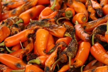 Fresh chili pepper rot