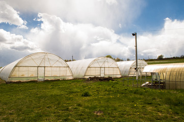 Obraz premium Polythene tunnel as a plastic greenhouse in an allotment with growing vegetables and fruits