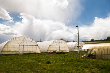Polythene tunnel as a plastic greenhouse in an allotment with growing vegetables and fruits