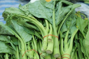 Obraz premium Kale at the market