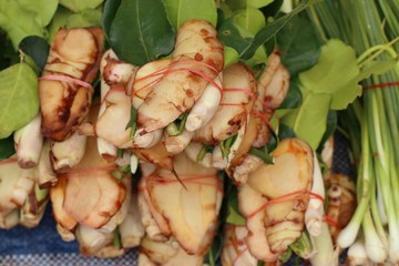 Galangal, kaffirkrap, kaffir lime leaves at market