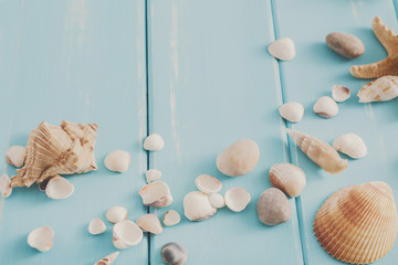Seashells on blue wood, sea vacation background