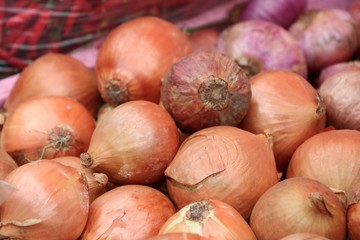 onion at the market