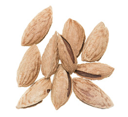 Walnut nuts on white background