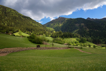 Fototapeta na wymiar Idyllic landscape in the Alps in springtime with traditional mountain chalet and fresh green mountain pastures with blooming flowers on a beautiful sunny day. Austria, Europe.