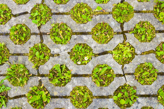 Eco permeable pavement with grass growing through it. Environmentally friendly green parking.