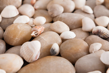 Sea pebbles background, natural seashore stones