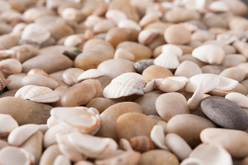 Sea pebbles background, natural seashore stones