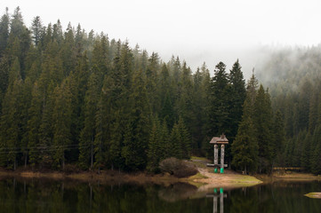 Beautiful coniferous forest lake in the morning