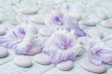 Obraz na płótnie Canvas Beautiful and tender purple sword lily flowers closeup