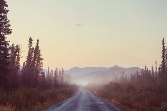 Road In Alaska