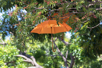 Parasol suspendu - Ile de la Réunion