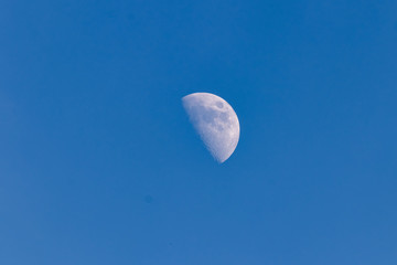 Afternoon Moon
