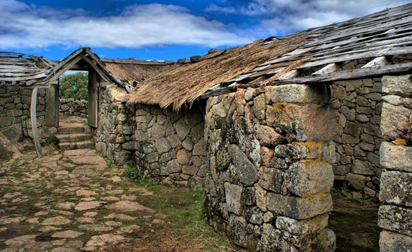 Cit&acirc;nia de Sanfins