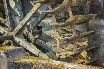 Flowers bloom on a slate plate united to a still life