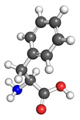 Phenylalanine molecule, ball and stick model