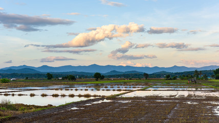 Rice field and cloud with mountain background, Thailand