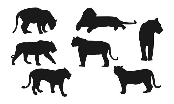 Silhouette of tiger sets