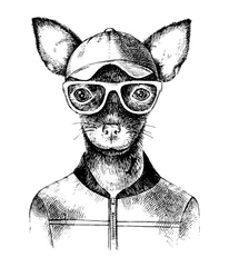 Gordijnen Hand drawn toy terrier hipster © Marina Gorskaya