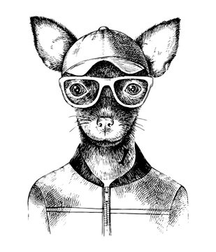 Hand drawn toy terrier hipster