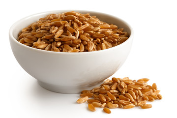 Kamut wheat kernels in white ceramic bowl isolated on white. Spilled kamut.