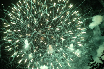 Bright green full round fireworks display