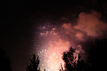 Multi color fireworks finale in the park for the Fourth of July