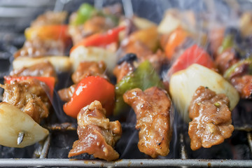 Meat and Vegetable Barbecue