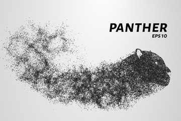 Naklejka premium Panther of particles. Panther's head consist of circles and dots. Vector illustration.