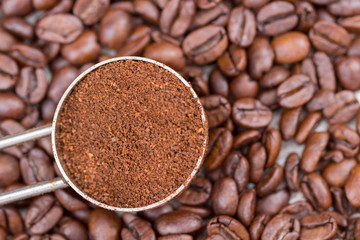 coffee scoop with ground coffee on roasted coffee beans
