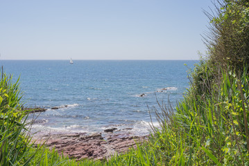 Sea through the grass