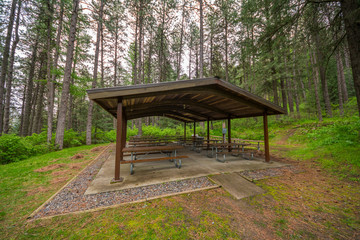 Tables on a background of the green forest. Kamiak Butte State Park, Whitman County, Washington, USA