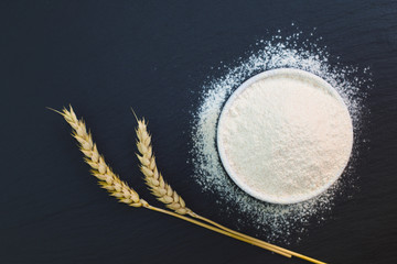 Wheat flour in white cup  decorate by wheat ear on black slate stone plate with copy space for...