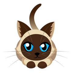 Siamese cat the Lovely kitten with blue eyes fluffy on a white background spotty a pet Cat breeds cute pet animal set vector illustration Web site page and mobile app design vector element.