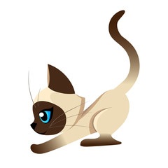 Siamese cat the Lovely kitten with blue eyes fluffy on a white background spotty a pet Cat breeds cute pet animal set vector illustration Web site page and mobile app design vector element.