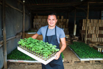 Man farmer holding tray of seedlings on the farm and smile