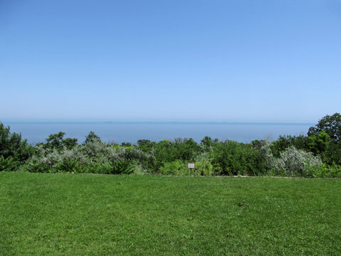 Fototapeta The greens on the seashore. Bushes, trees around the lawn with green grass on the Black Sea coast in Odessa