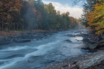 Water stream in fall