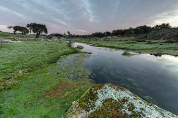 Landscape near Arroyo de la luz. Extremadura. Spain.