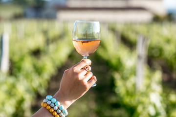 Woman holding a glass with rose wine on the vineyard background during the sunset